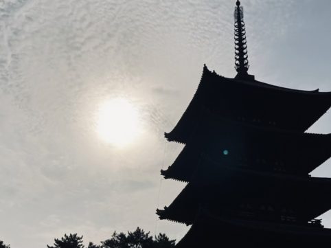 奈良での朝日