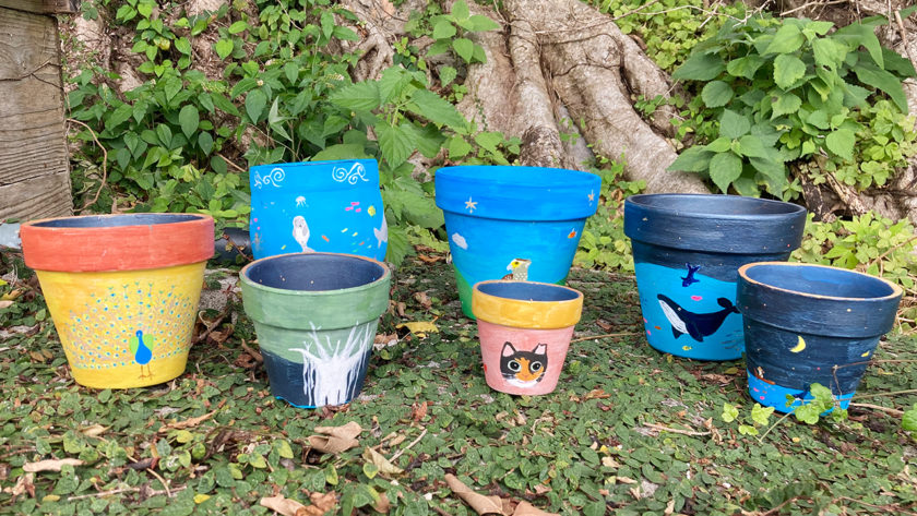 宇宙サボ展の植木鉢