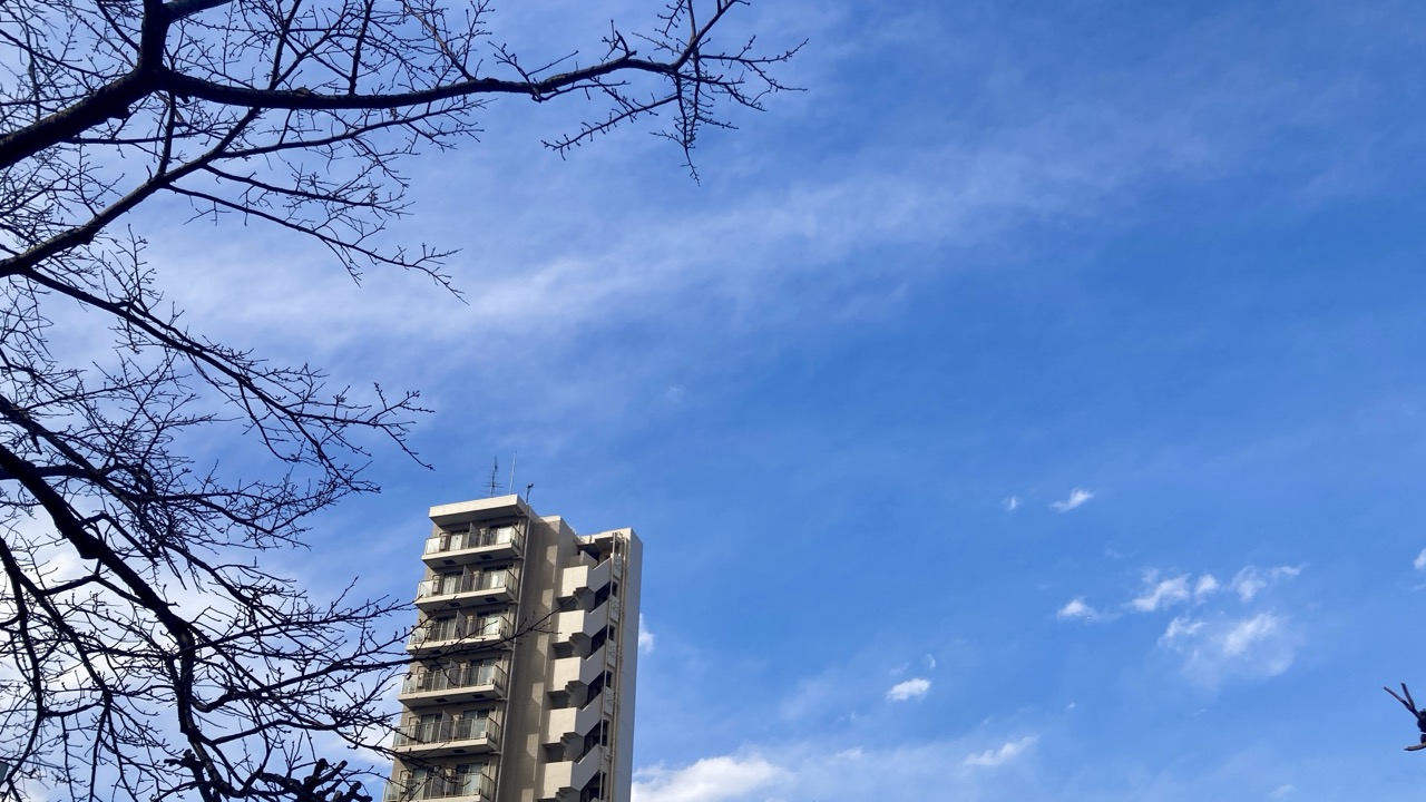 神楽坂から見上げる空